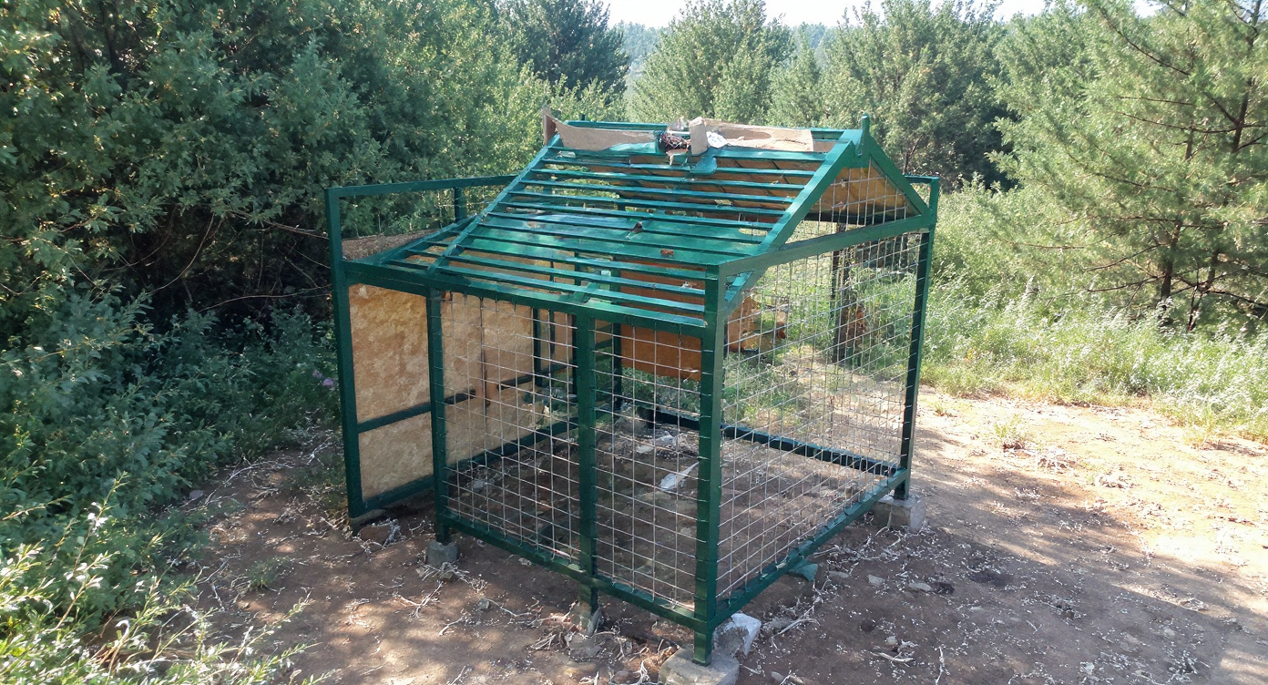 Včelnica po osadení